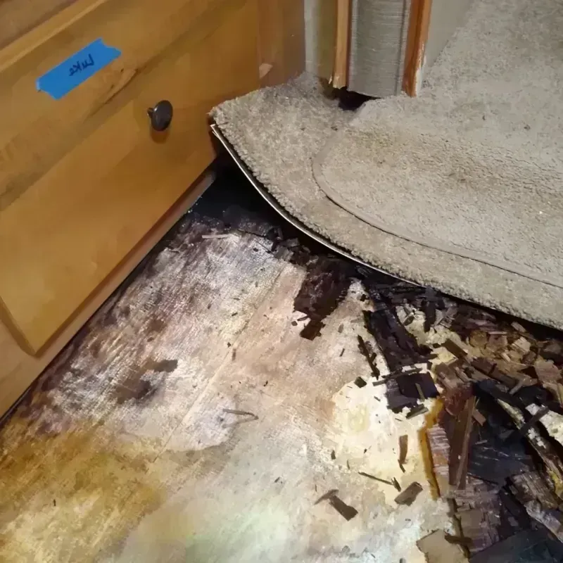 Wood Floor Water Damage in Cloverleaf, TX